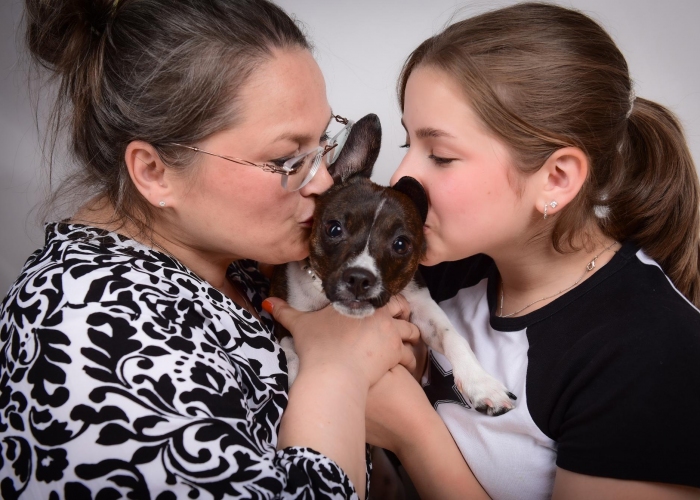 Chihuahua/ Jack Russel/ Pinscher-Mischling-Hund, Lilo, Tierheim Burgdorf