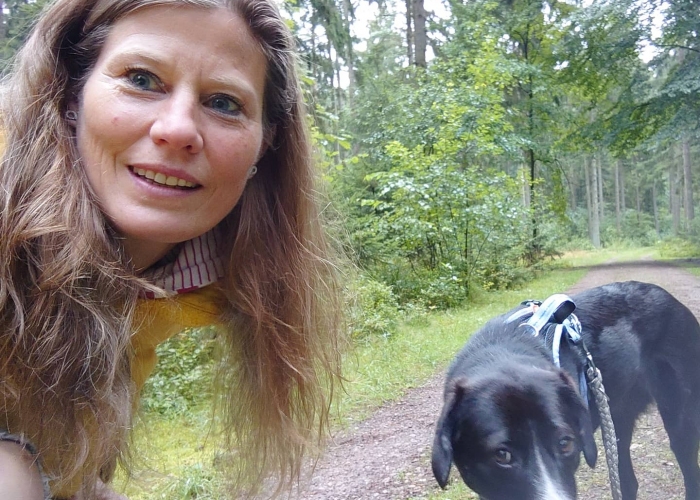reinrassiger Mischling-Hund, Tijana, Tierheim Burgdorf