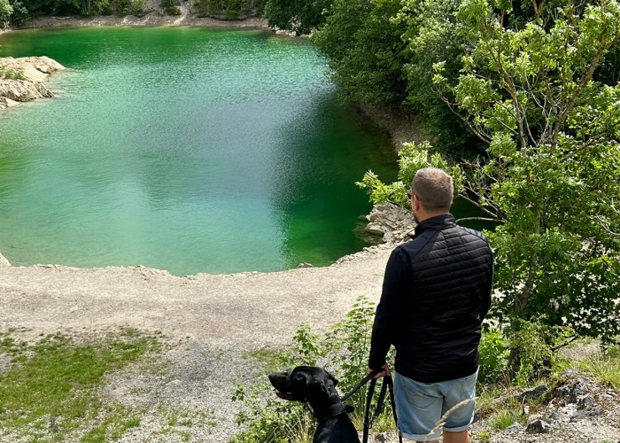 Weimeraner/ Magyar Vizsla -Hund, Django, Tierheim Burgdorf