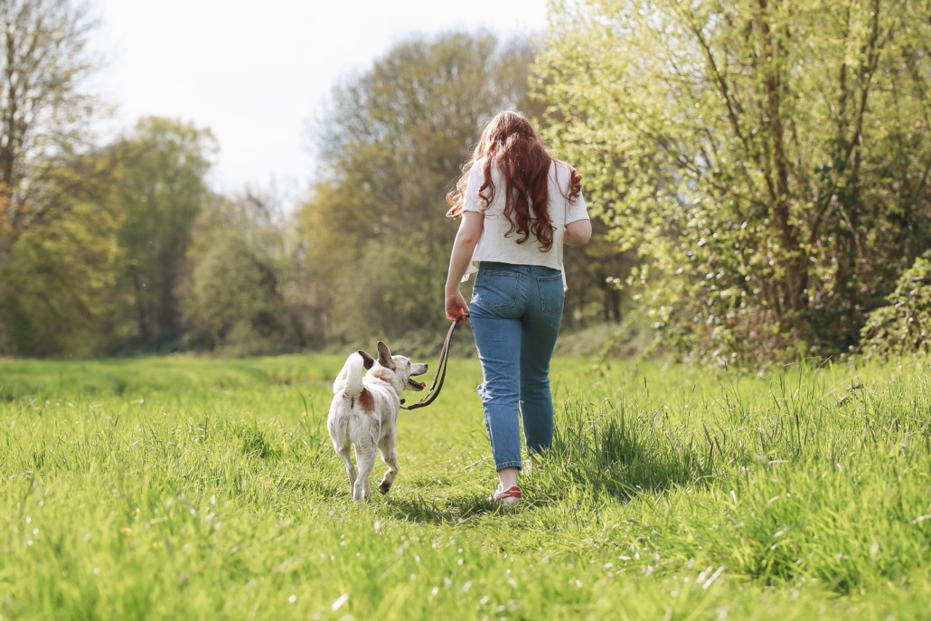Tierheim Hund an der Leine einer Frau