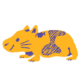 Hamster