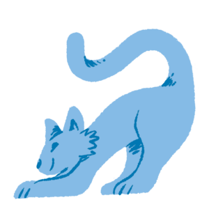 Katze